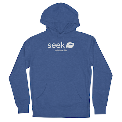 Seek hooded sweatshirt